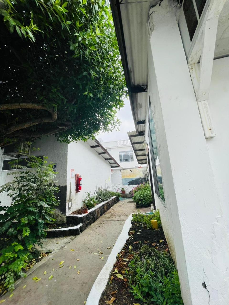 Hostal Darwin Puerto Ayora  Eksteriør billede